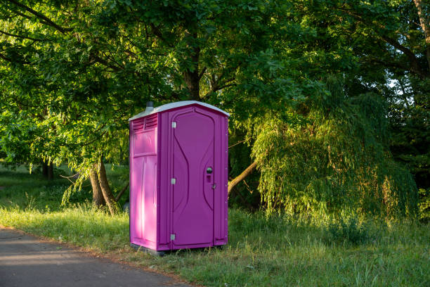 Best Porta potty rental for parties  in Scottville, MI